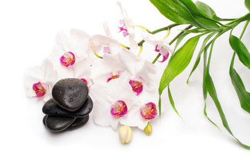 Plakat Spa white orchid with massage stones on white