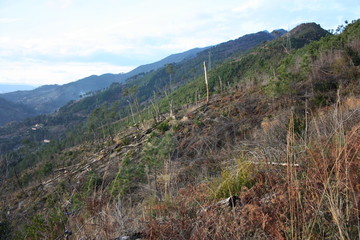 paths lost along the paths of the Apuan Alps in Tuscany. Gothic line dating back to the World War. forgotten and abandoned places