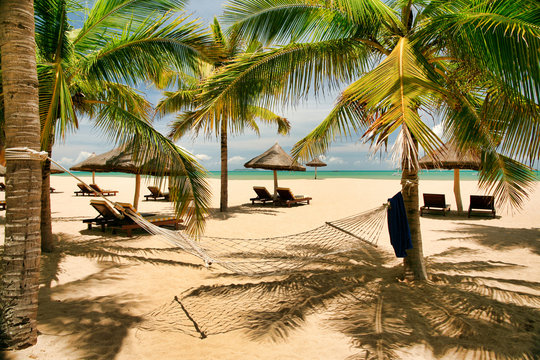 Many empty sun loungers under shady palm trees and a hammock on the beach of Hainan Island