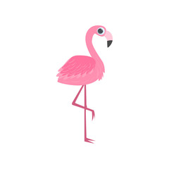 Big pink standing on one leg tropical flamingo isolated on white background. Side view