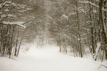 inverno in abruzzo