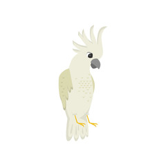 Beige exotic parrot cockatoo with crest isolated on white background.