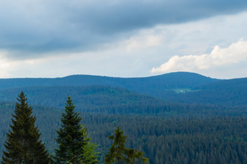 Schwarzwald von oben