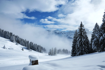 Fototapeta na wymiar Winter landscape from the Alps in Switzerland
