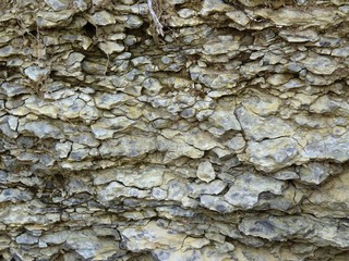 muschelkalk