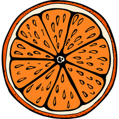 Handdrawn orange illustration