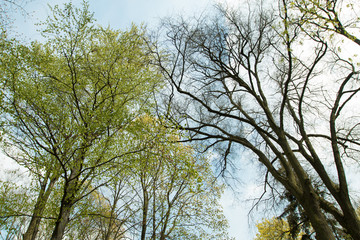 Park in the autumn season