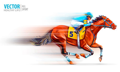 Fototapeta na wymiar Jockey on racing horse. Champion. Hippodrome. Racetrack. Horse riding. Vector illustration. Derby. Speed. Blurred movement. Isolated on white background