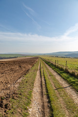 Fototapeta na wymiar A pathway alongside farmland, in the South Downs in Sussex