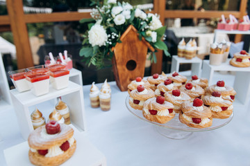Sweet cake with raspberries and cream on beautiful wedding candybar background