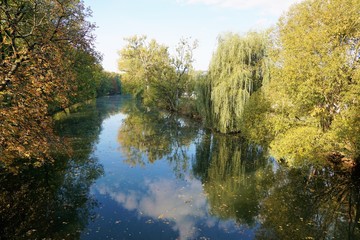 Fototapeta na wymiar Donau Fluss in tuttlingen im sommer 