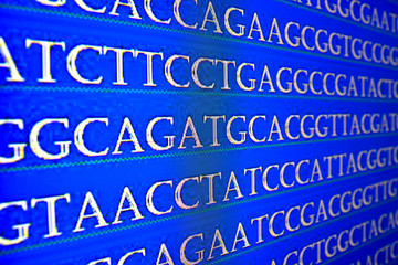 Sequence DNA.
