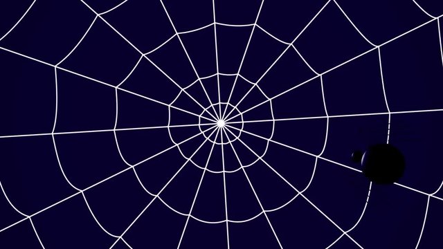 concentric cobwebs on a blue background, spider crawling towards the center