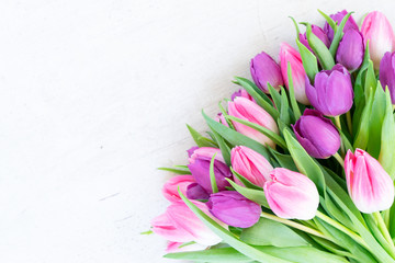 Pink fresh tulips