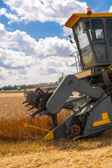 Harvester machine to harvest wheat field working