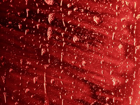 Wasser rinnt an roter Scheibe