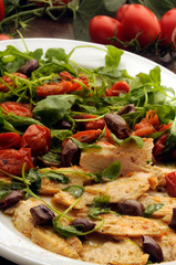 Gallus gallus chicken domesticus Hoender Kur domácí Cuisine Tagliata Haushuhn di Salad pollo...