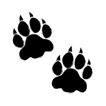 Raubtier Pfoten B&auml;r/Tiger/Wolf