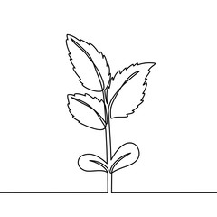 continuous one line art. can be for plants, agriculture, seeds. Black and white vector illustration. Vector