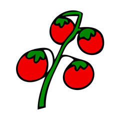 Cartoon doodle linear tomato on a branch isolated on white background. Vector illustration. 