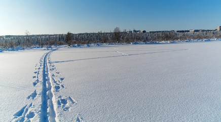Fresh ski track in the winter day