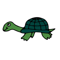 Cartoon doodle linear turtle isolated on white background. Vector illustration.   