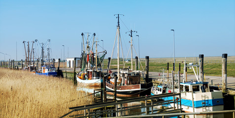 Krabbenkutter im Kutterhafen von Spieka-Neufeld an der Nordseeküste, Reiseziel in in Norddeutschland