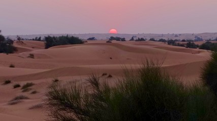Fototapeta na wymiar Desert Sun