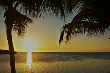Sonnenuntergang mit Palmen auf dem Meer