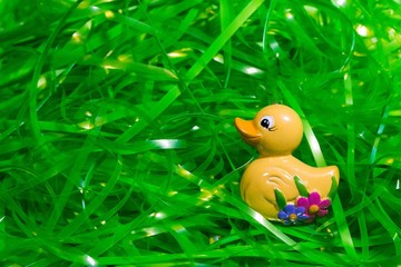 yellow duck in Easter plastic green grass