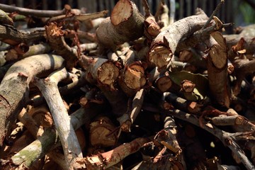 firewood heap background