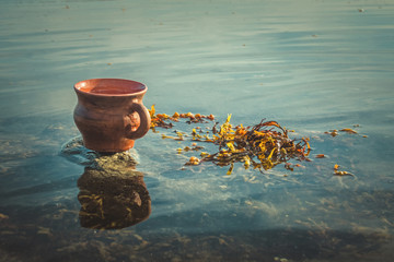Stein and algae on the sea shallow