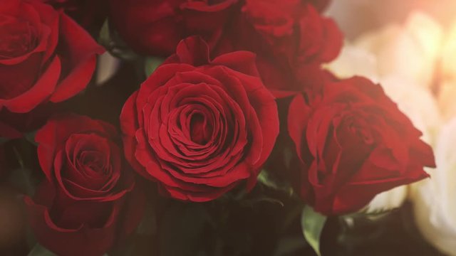 Red roses with lovely petals and dew spots looking nice in a kiosk   
