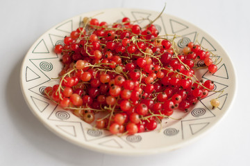 Red currant on sprigs in a plate.