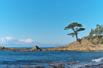 富士山と松と海ある風景
