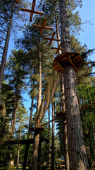 Outdoor tree-top outdoor adventure/activity equipment among the pine trees in Sherwood Forest, including zip wires, rope bridges, aerial walkways and trampoline nets
