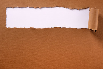 Torn brown paper long rolled edge header frame white background