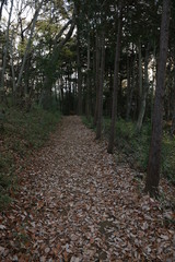 山道