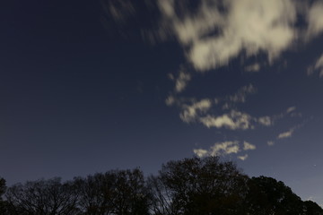 Obraz premium 樹木と星空と雲