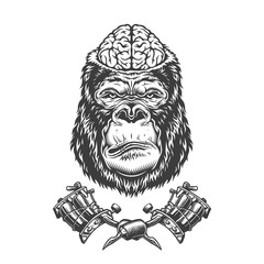 Vintage gorilla head with human brain