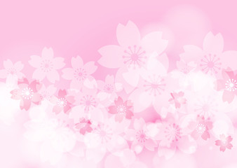Fototapeta na wymiar Cherry Blossom, Pink Background, Vector Graphics