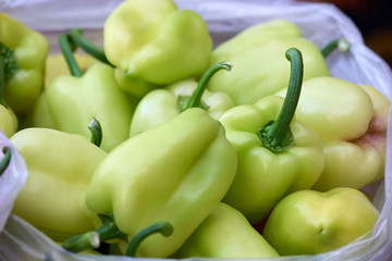 Big green bell peppers close up. Heap of large organic peppers. Healthy vegetables grown at organic farm.