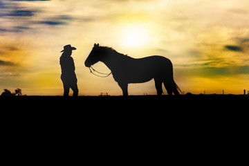 horse and rider at sunset