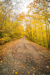Gravel road in autumn in Cape Breton