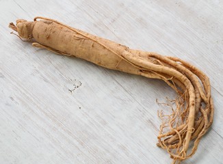 한국의 인삼, 수삼 