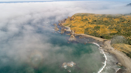 Oregon coast shoreline