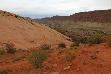 A view of Cache Valley near the lower delicate arch viewpoint in Arches National Park, Utah.