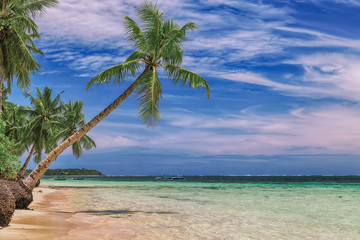 Fototapeta na wymiar Beautiful beach. View of nice tropical beach with palms around. Holiday and vacation concept. Tropical beachat Philippines on the coast island Siargao
