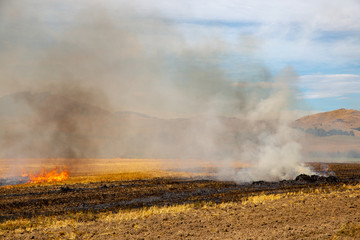 A farmer sets the stubble from the barley crop alight to clear the field for the next crop 