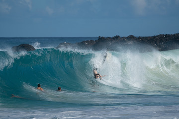 surfer wipeout Hawaii - obrazy, fototapety, plakaty